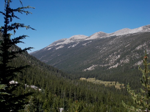 Lyell Canyon