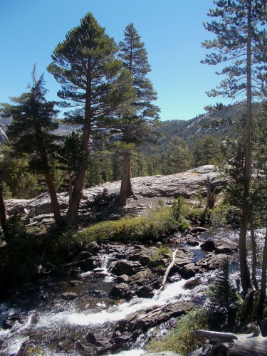 Shadow Creek