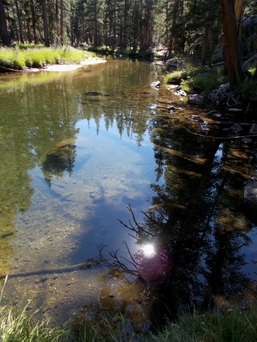 Evolution Creek