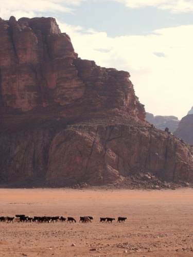 Wadi Rum