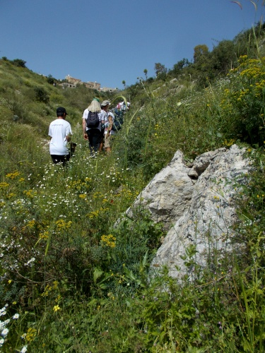 Umm Qais