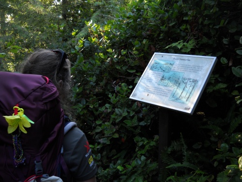 Forest Succession sign