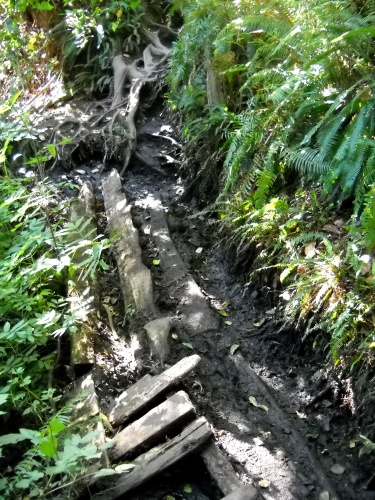 19.9&nbsp;miles