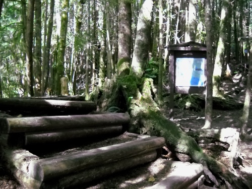 Kuitshe Creek Campsite