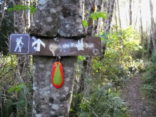 Trail signage