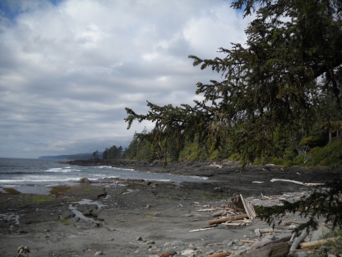 Botanical Beach