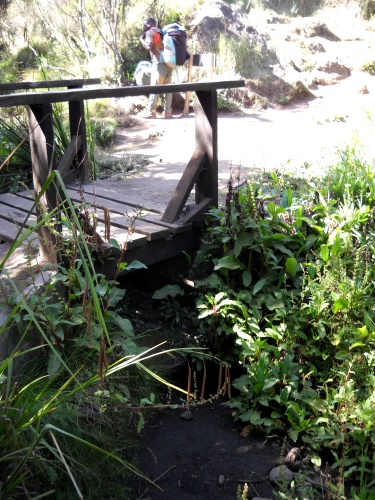 Water source