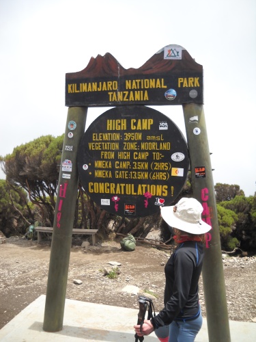 High Camp Waymarker