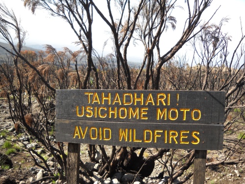 Avoid wildfires!