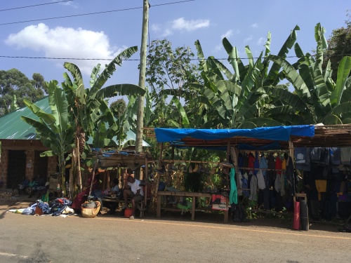 Tourist shops