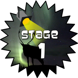 Stage 1 Award