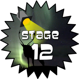 Stage 12 Award