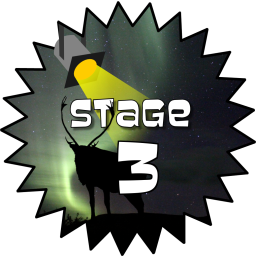 Stage 3 Award