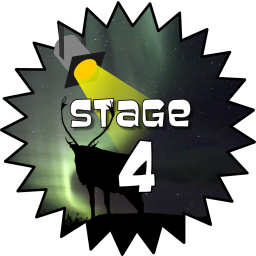 Stage 4 Award