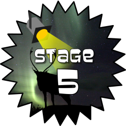 Stage 5 Award