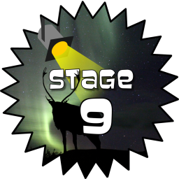 Stage 9 Award