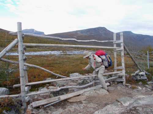 Reindeer fence and gate