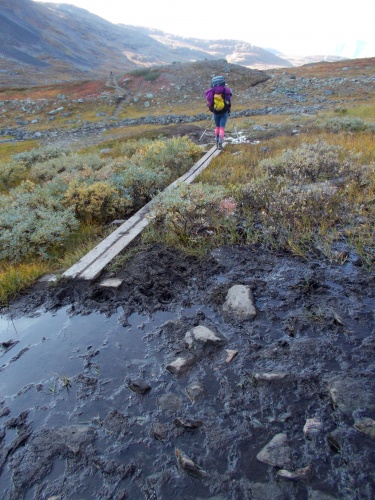 Mud on the trail!