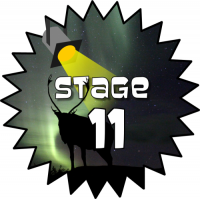 Stage 11 Award