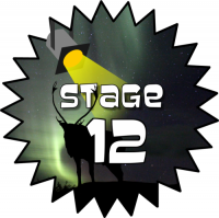 Stage 12 Award