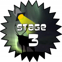 Stage 3 Award