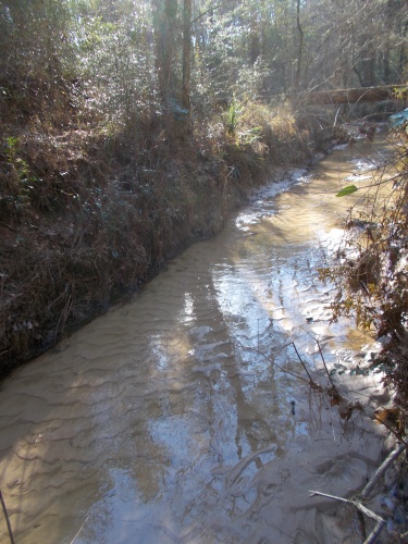 A good-sized creek