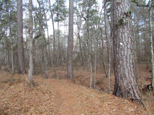 7.9 miles