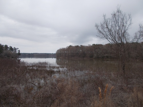 Lake Conroe