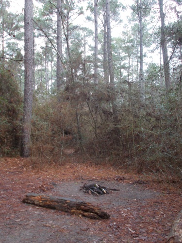 Campsite