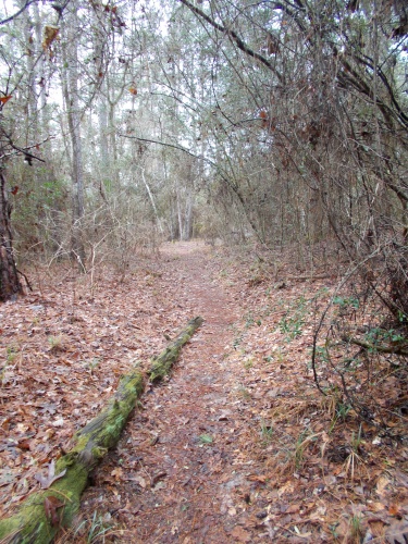 36.4&nbsp;miles