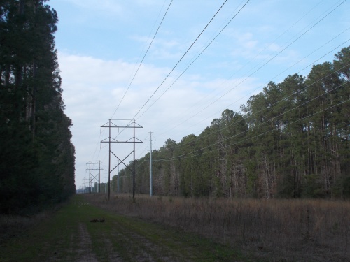 Powerlines