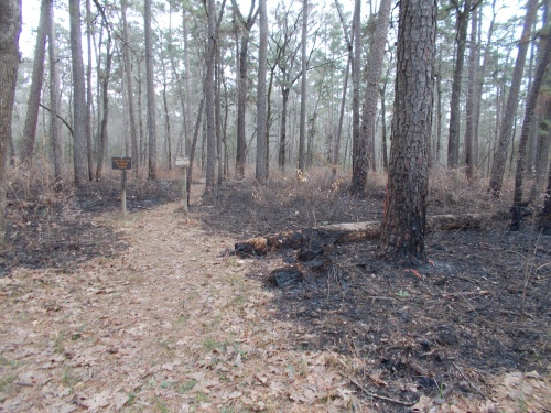 Big Woods Trailhead