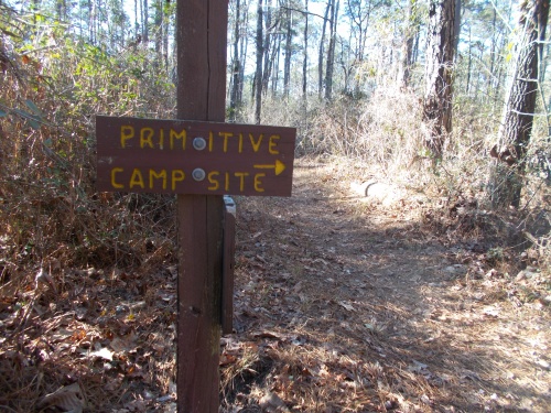 Primitive Campsite