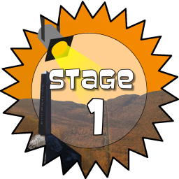 Stage 1 Award