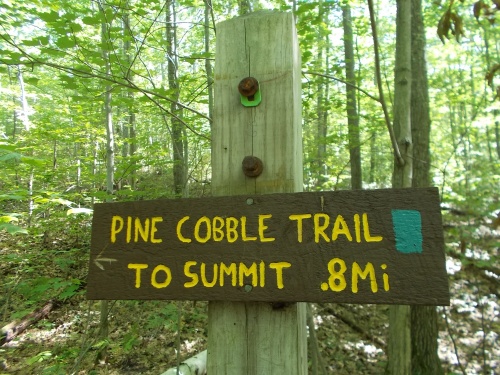 Pine Cobble Trail