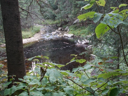 Winhall River