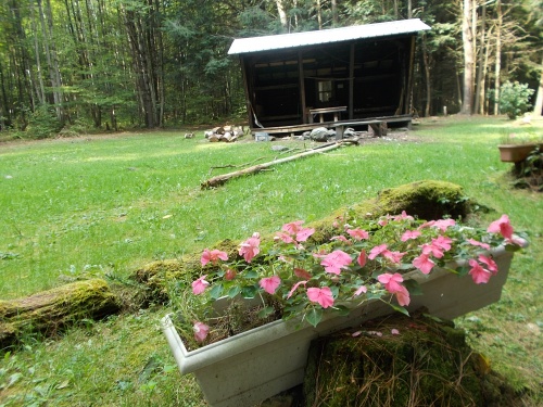 Clarendon Shelter