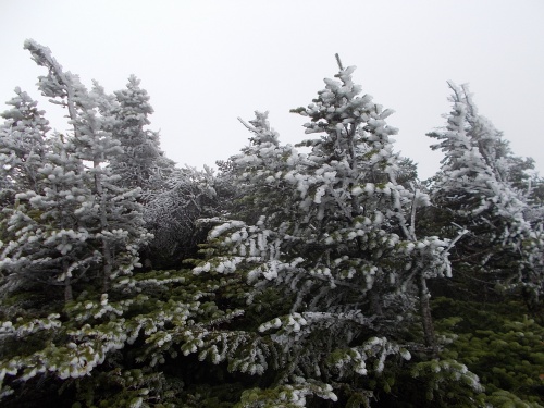 Rime Ice on Mansfield