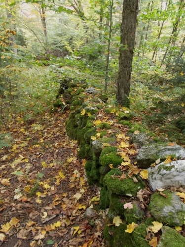 Stonewall