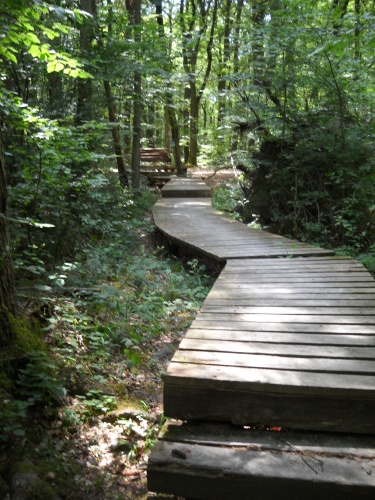 Boardwalks