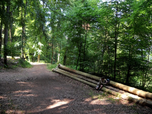 23.3&nbsp;miles