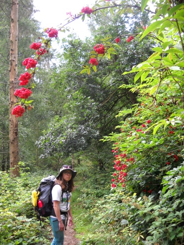 Karolina on the trail!