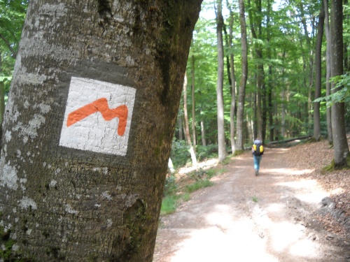 Mullerthal Trail Waymark