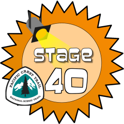 Stage 40 Award