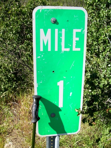 One mile down, 2,688.5 miles to go!