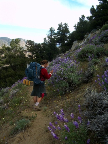 Moonshadow on the trail!