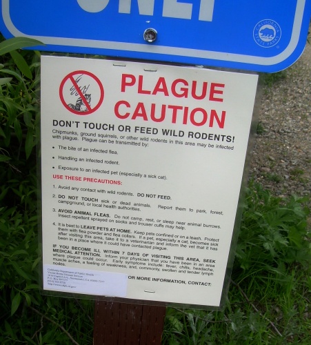 Will the dangers never end?!