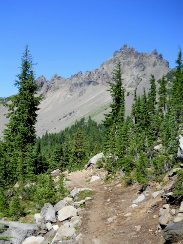 Three Fingered Jack