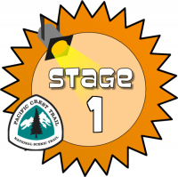 Stage 1 Award