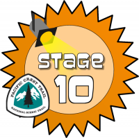 Stage 10 Award